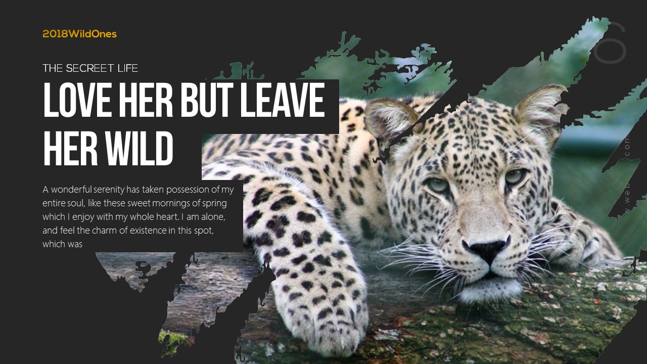 Wildlife Ppt Templates Free Download